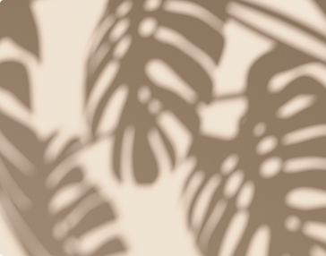 Soft shadows of tropical leaves on a beige background, suggesting a calm, natural, and spa-like atmosphere.