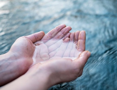 Oxygen Wellness Therapy for Relaxation and Recovery